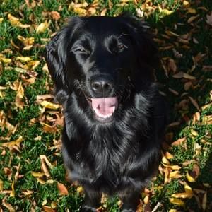 Meet your Posher, Kaelyn